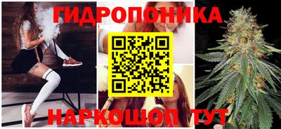 герыч Новодвинск
