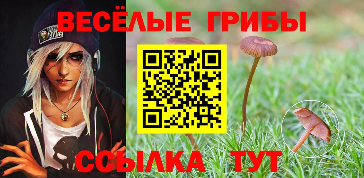 Тольятти  Псилоцибиновые грибы мухоморы  Псилоцибиновые грибы GOLDEN TEACHER  Вход с VPN 