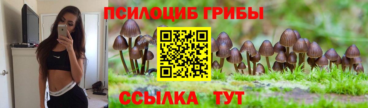 Псилоцибиновые грибы мицелий Тольятти